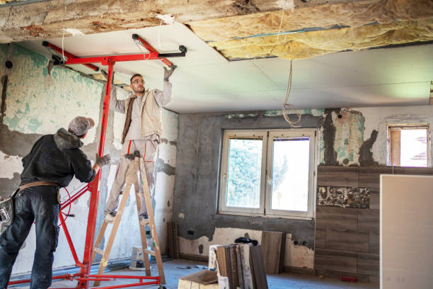 Best Insulation for Specific Applications in El Paso, IL