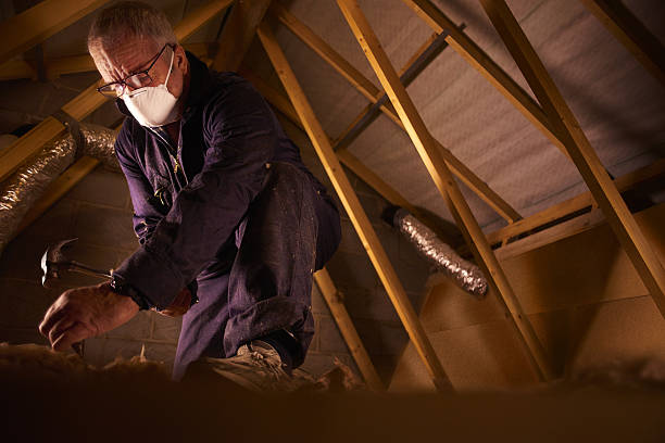 Best Energy Efficiency Solutions in El Paso, IL